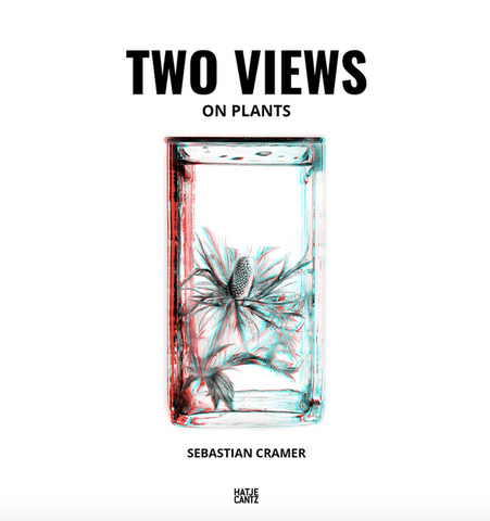 Sebastian Cramer: Two Views