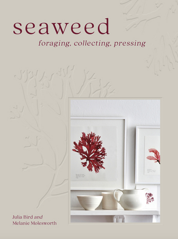 Seaweed: Foraging, Collecting, Pressing by Melanie Molesworth