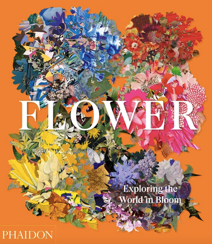 Flower: Exploring the World in Bloom