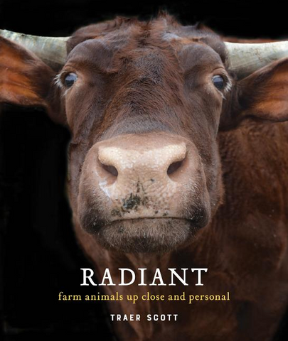 Radiant: Farm Animals Up Close and Personal (Farm Animal Photography Book)