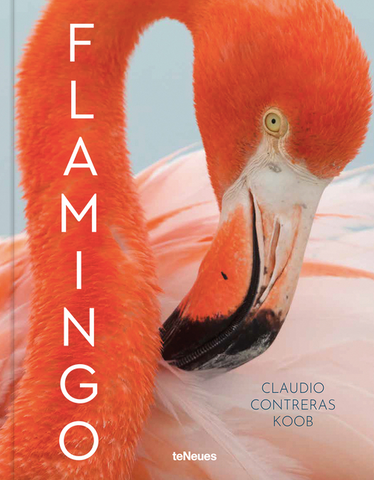 Flamingo by Claudio Contreras Koob