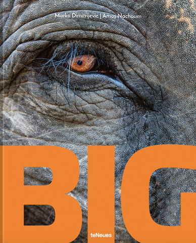 Big: A Photographic Album of the World's Largest Animals