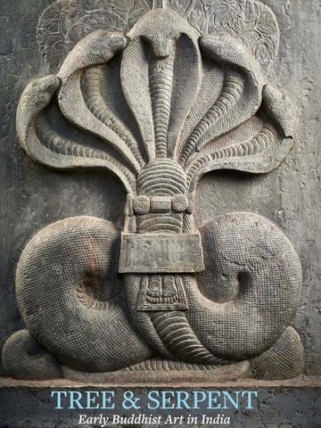 Tree & Serpent: Early Buddhist Art in India by John Guy