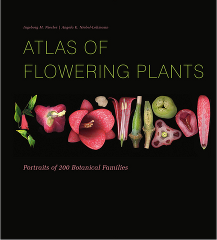 Atlas of Flowering Plants: Visual Studies of 200 Deconstructed Botanical Families by Ingeborg M. Niesler