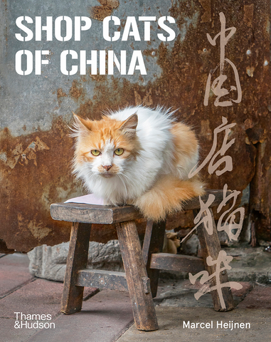 Shop Cats of China by Marcel Heijnen