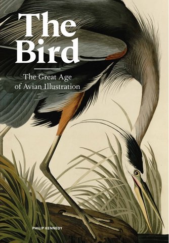 The the Bird: The Great Age of Avian Illustration by Philip Kennedy