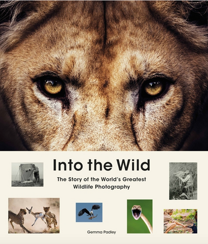 Into the Wild: The Story of the World's Greatest Wildlife Photography by Gemma Padley
