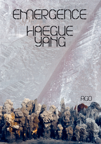 Haegue Yang: Emergence by Adelina Vlas