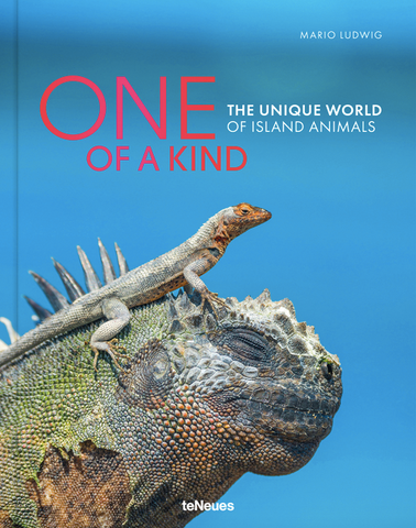 One of a Kind: The Unique World of Island Animals