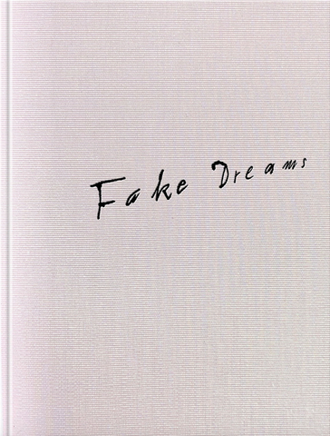 Matthias Wittig: Fake Dreams