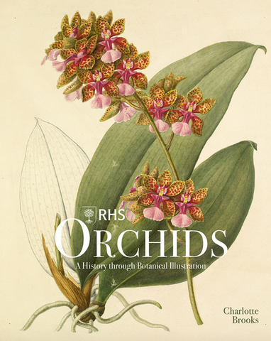 Rhs Orchids by Charlotte Brooks