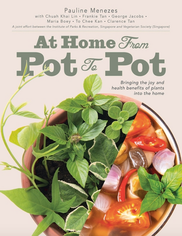At Home: From Pot to Pot