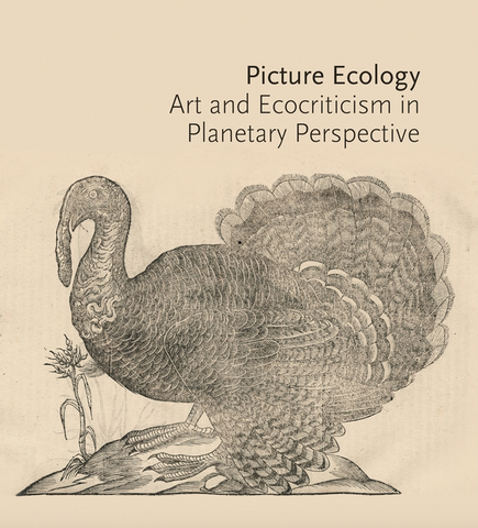 Picture Ecology: Art and Ecocriticism in Planetary Perspective