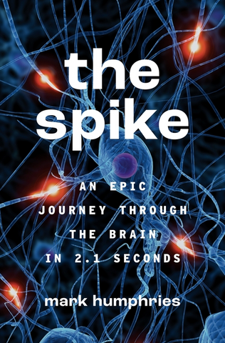 The Spike: An Epic Journey Through the Brain in 2.1 Seconds