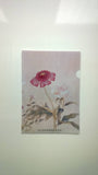 KJ-0038 Folder A4 - THE NATIONAL PALACE MUSEUM'S COLLECTION (EDITIONS)